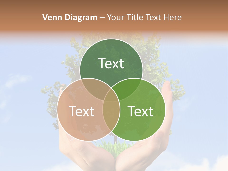A Person Holding A Tree In Their Hands PowerPoint Template