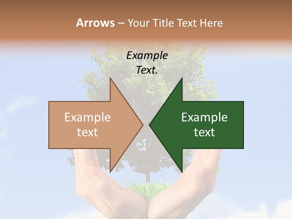 A Person Holding A Tree In Their Hands PowerPoint Template