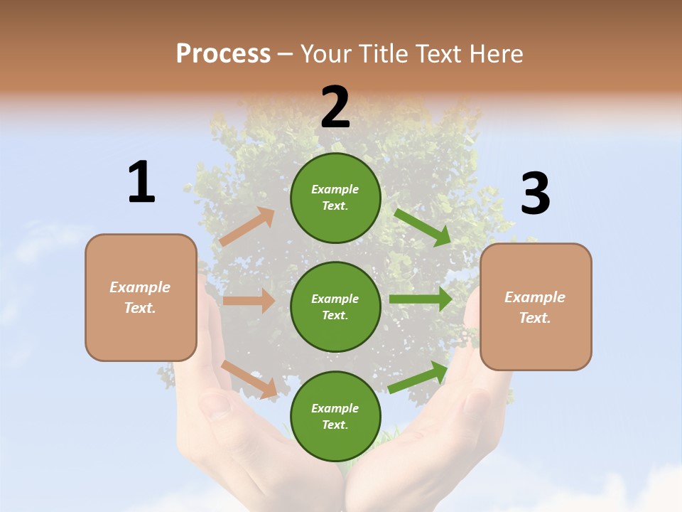 A Person Holding A Tree In Their Hands PowerPoint Template