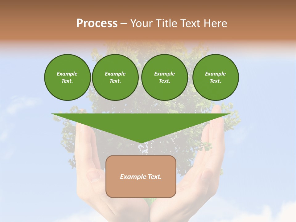 A Person Holding A Tree In Their Hands PowerPoint Template
