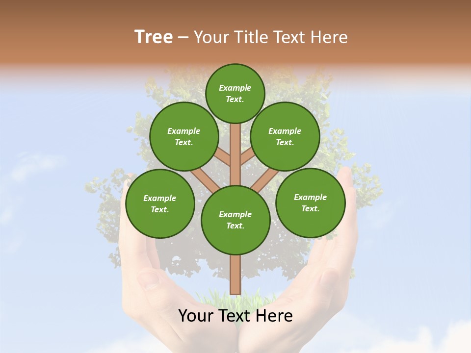 A Person Holding A Tree In Their Hands PowerPoint Template