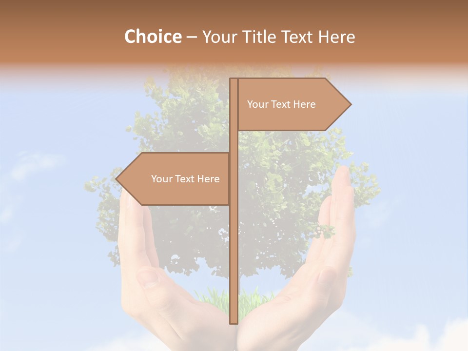 A Person Holding A Tree In Their Hands PowerPoint Template