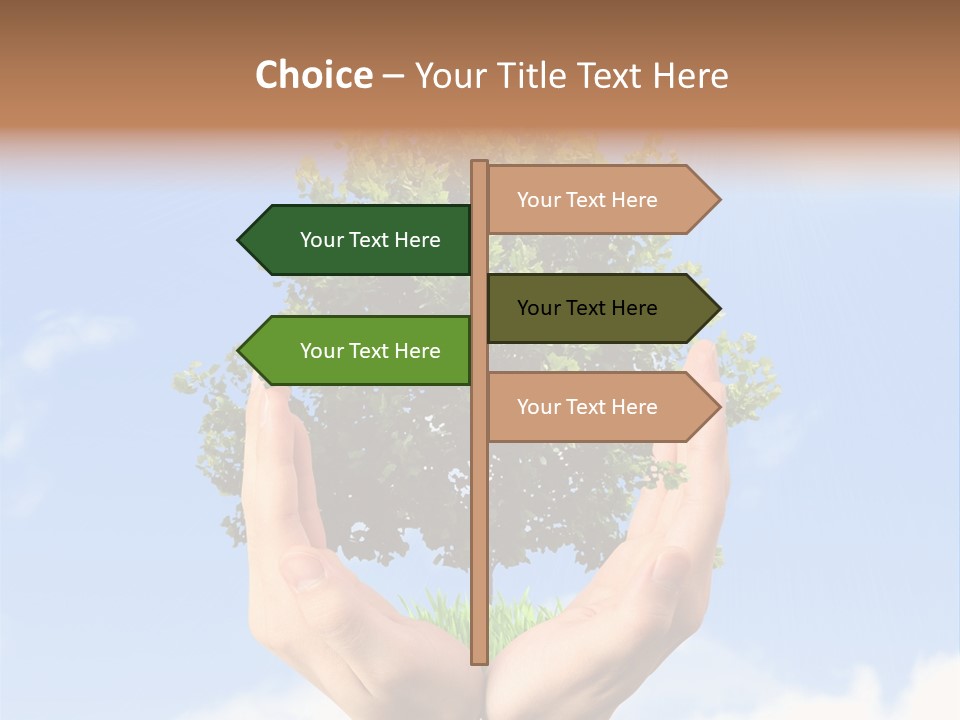 A Person Holding A Tree In Their Hands PowerPoint Template