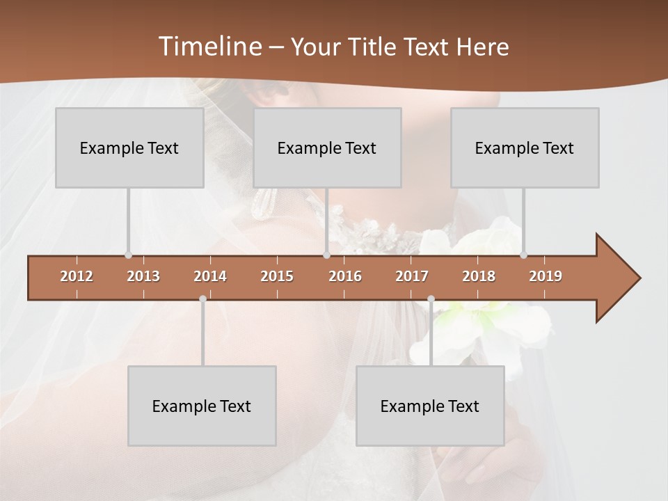 Veil Bride Marry PowerPoint Template