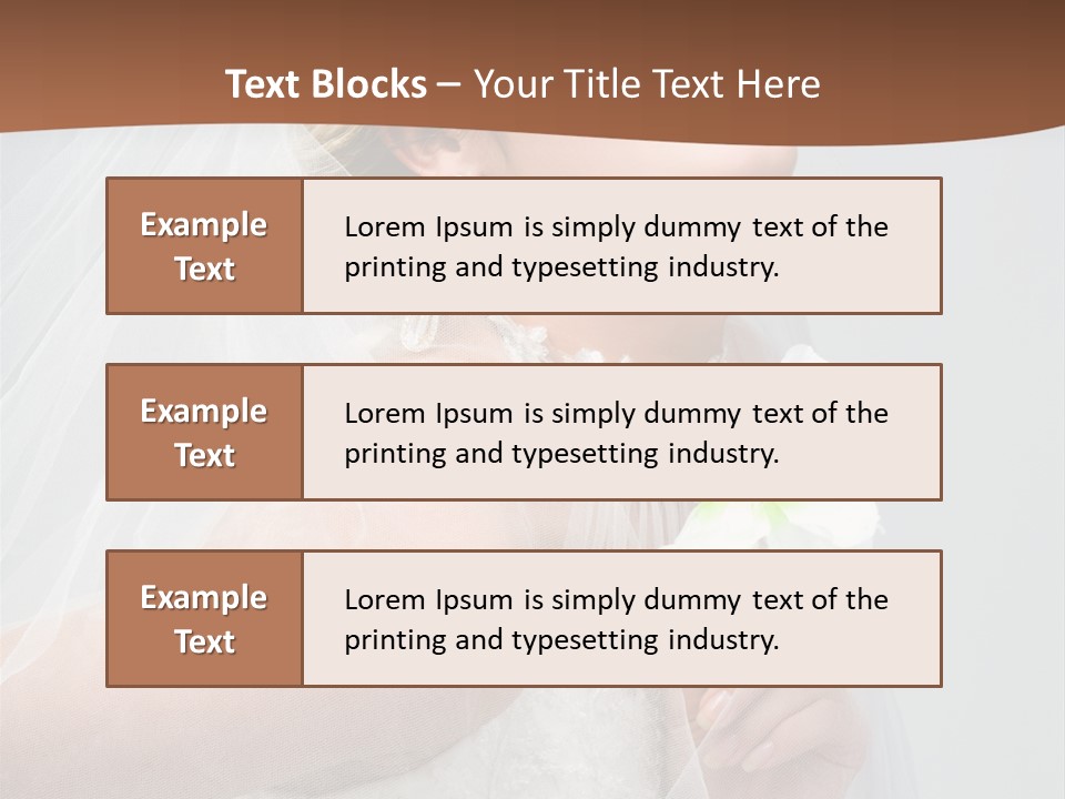 Veil Bride Marry PowerPoint Template