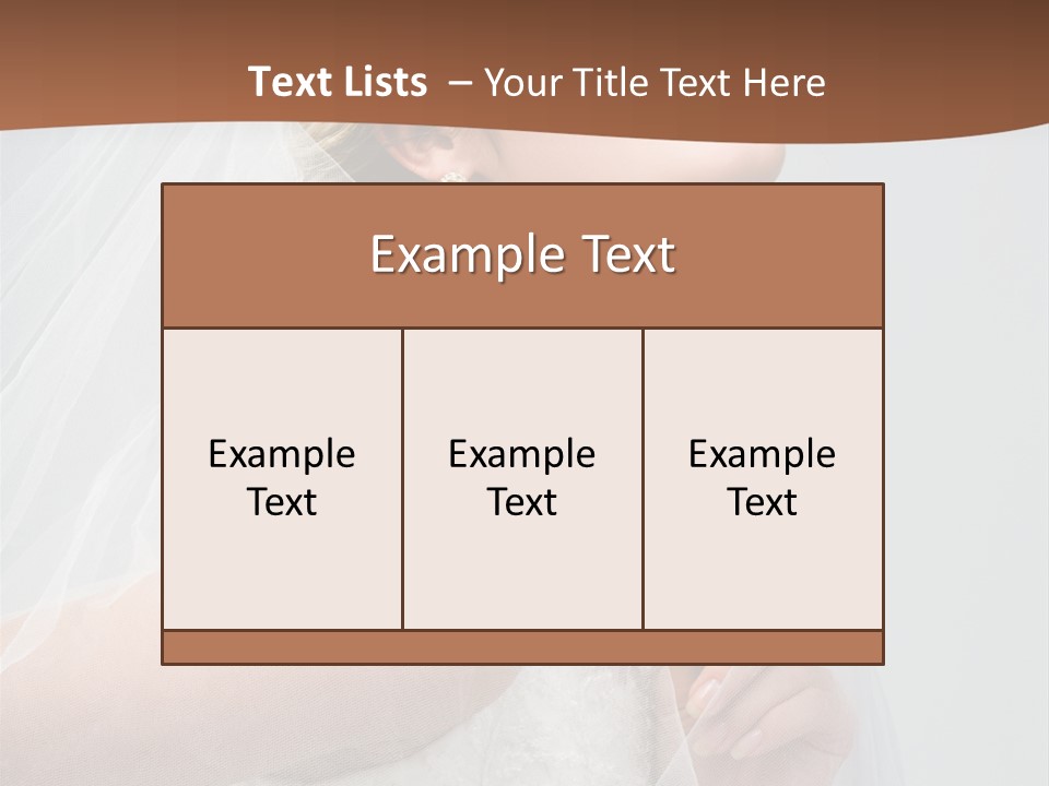 Veil Bride Marry PowerPoint Template