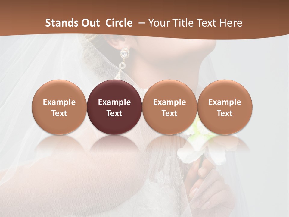 Veil Bride Marry PowerPoint Template