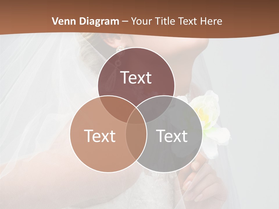 Veil Bride Marry PowerPoint Template