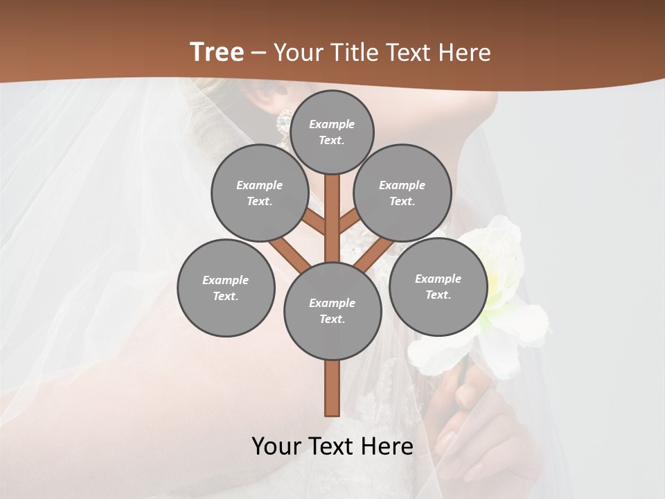 Veil Bride Marry PowerPoint Template