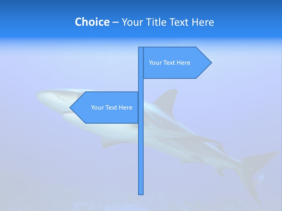 Underwater Perezii Sea PowerPoint Template