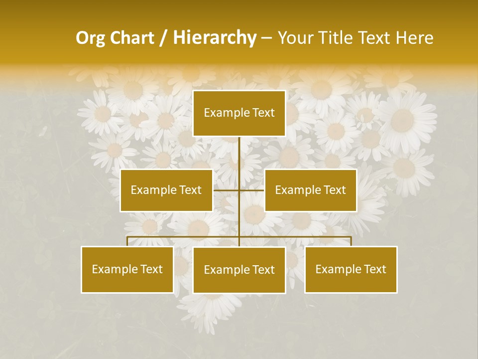 Outdoor Color Decoration PowerPoint Template