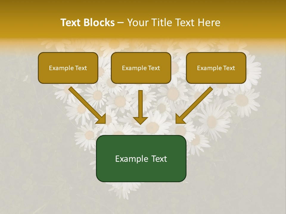 Outdoor Color Decoration PowerPoint Template