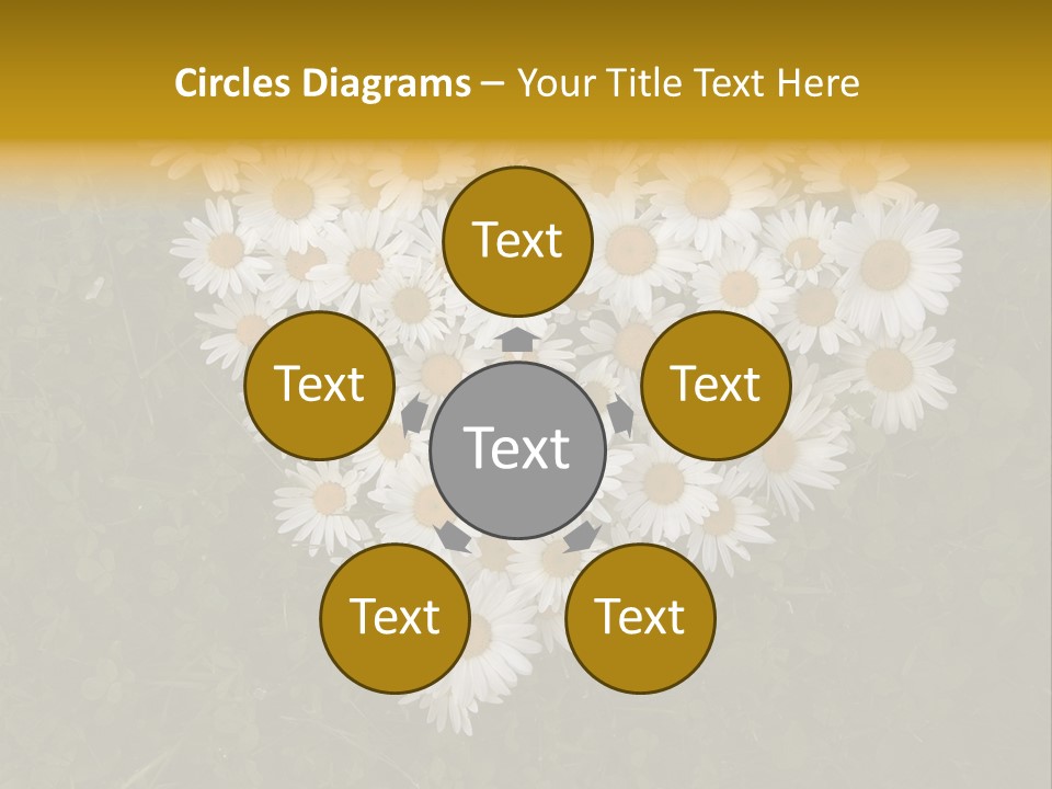 Outdoor Color Decoration PowerPoint Template