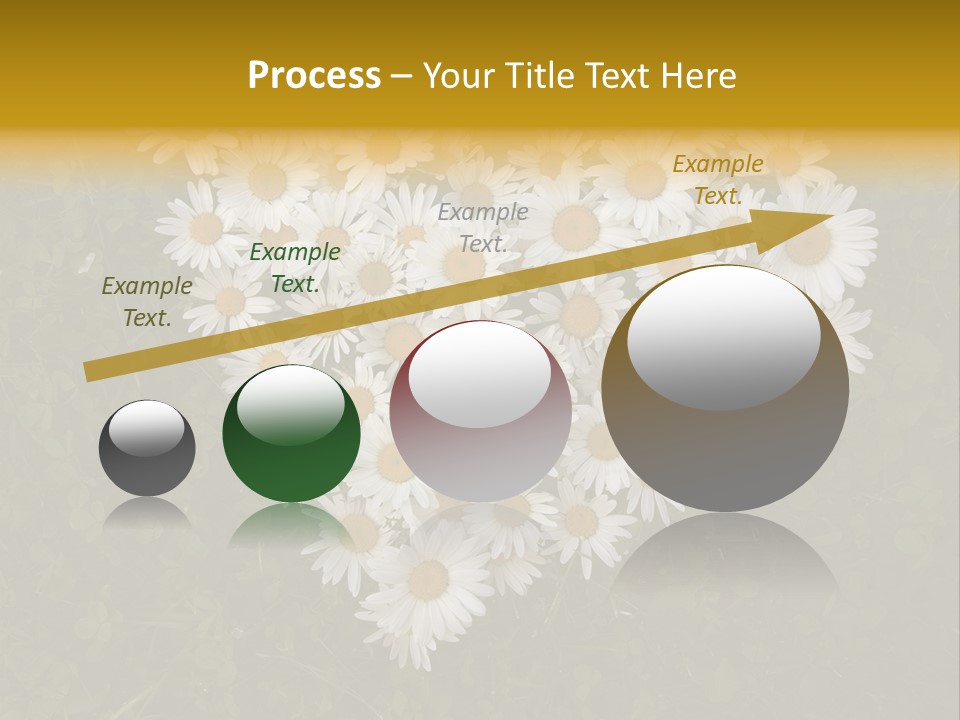 Outdoor Color Decoration PowerPoint Template