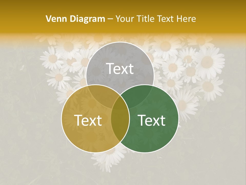 Outdoor Color Decoration PowerPoint Template