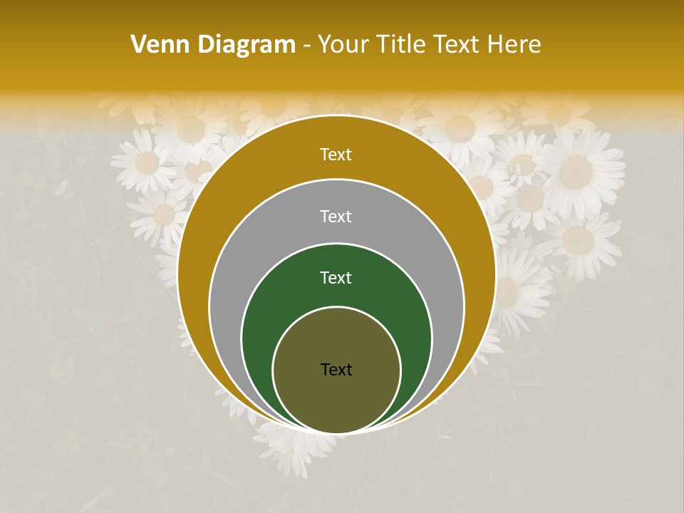 Outdoor Color Decoration PowerPoint Template
