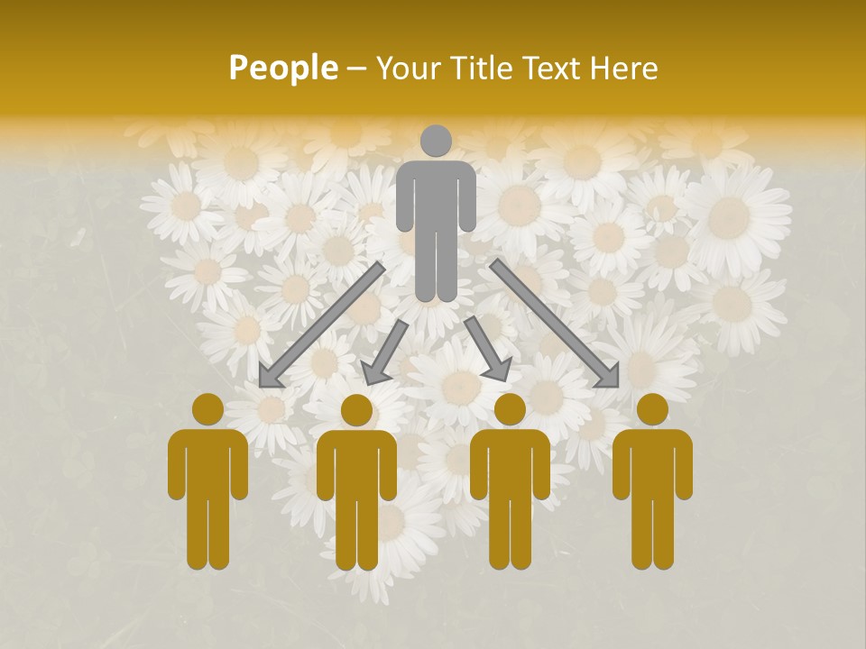 Outdoor Color Decoration PowerPoint Template