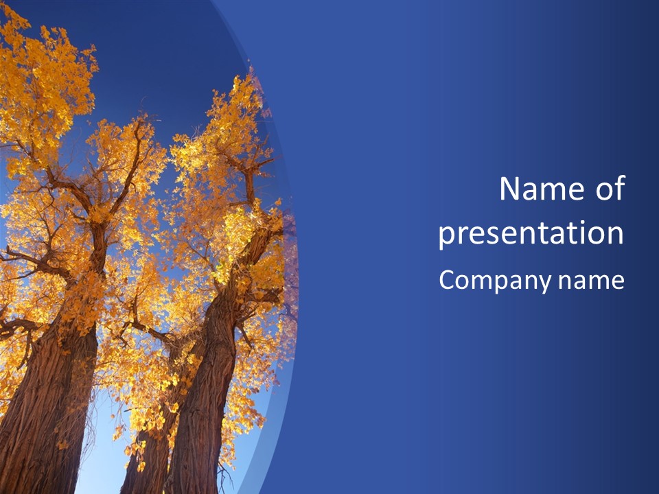 Shiny Studio Old PowerPoint Template