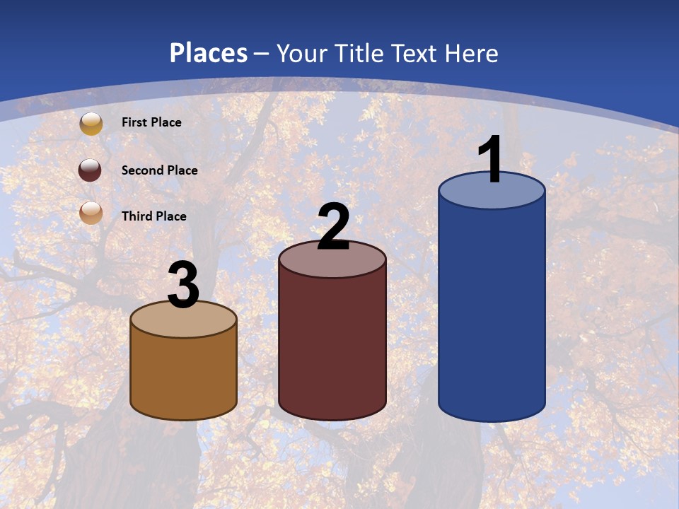Shiny Studio Old PowerPoint Template