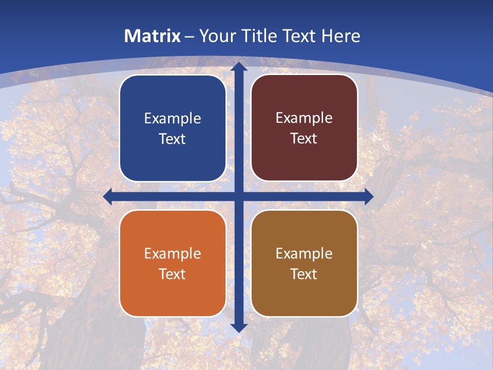 Shiny Studio Old PowerPoint Template