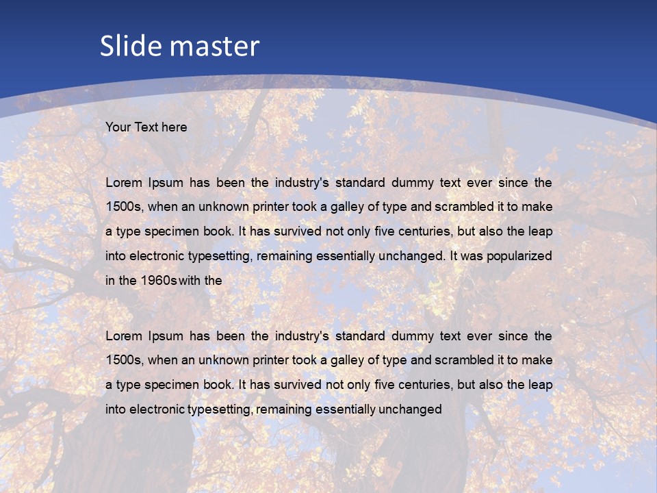 Shiny Studio Old PowerPoint Template