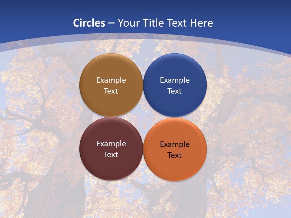 Shiny Studio Old PowerPoint Template