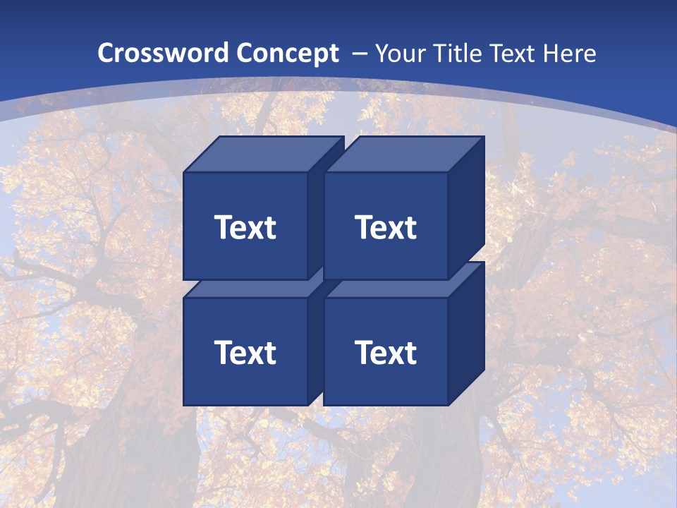 Shiny Studio Old PowerPoint Template
