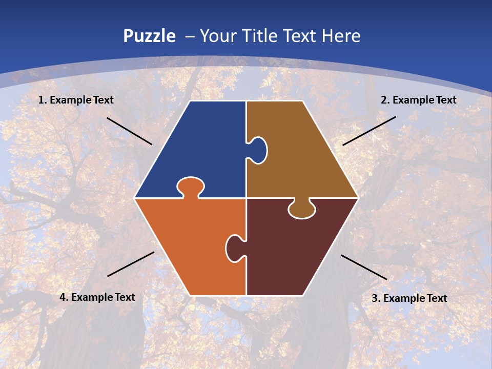 Shiny Studio Old PowerPoint Template