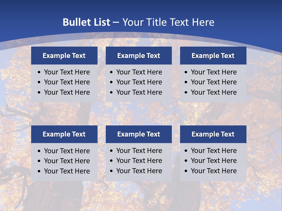 Shiny Studio Old PowerPoint Template