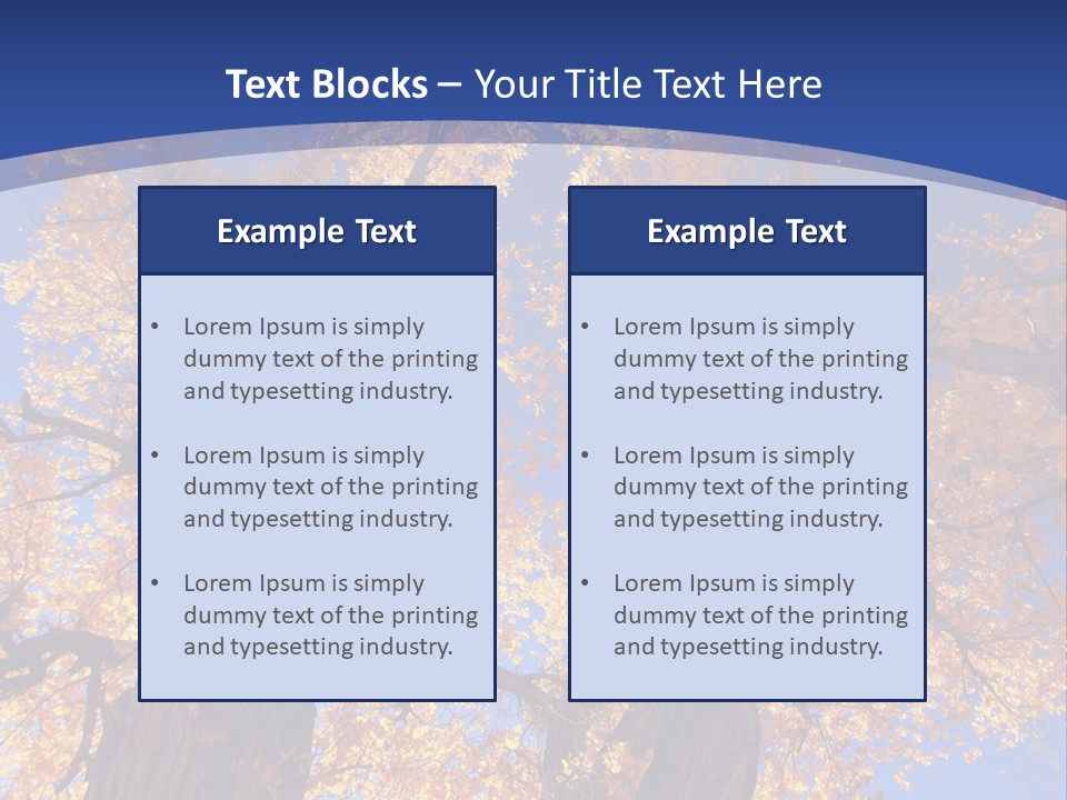 Shiny Studio Old PowerPoint Template