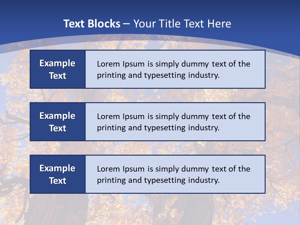Shiny Studio Old PowerPoint Template