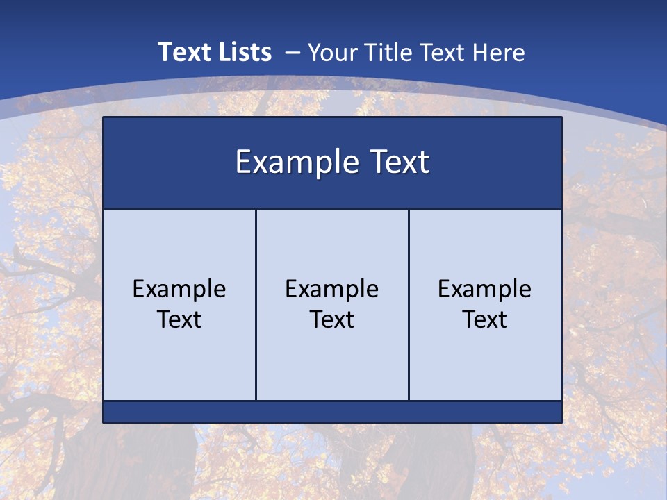 Shiny Studio Old PowerPoint Template