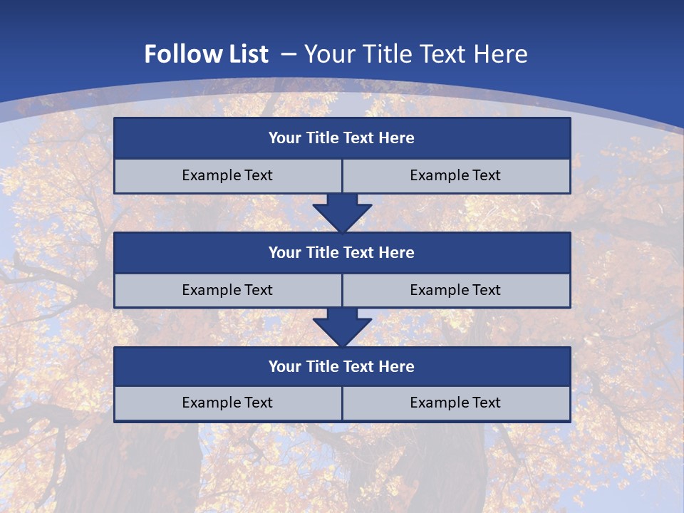Shiny Studio Old PowerPoint Template