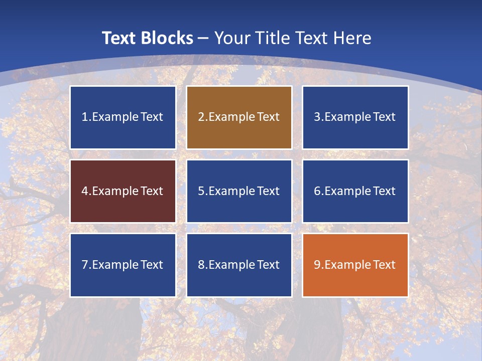 Shiny Studio Old PowerPoint Template