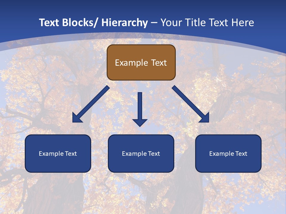 Shiny Studio Old PowerPoint Template