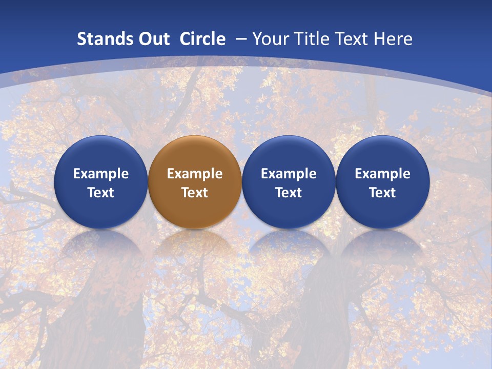 Shiny Studio Old PowerPoint Template