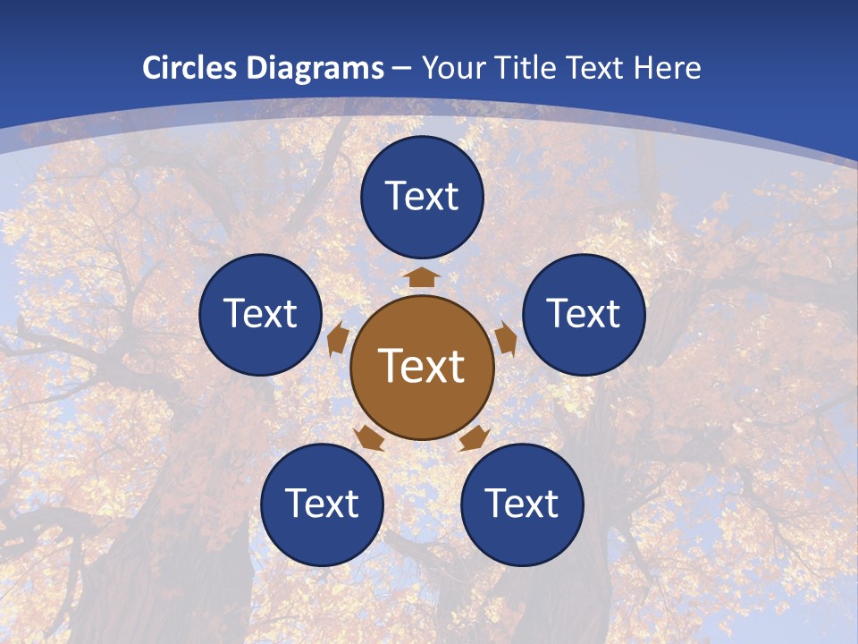 Shiny Studio Old PowerPoint Template