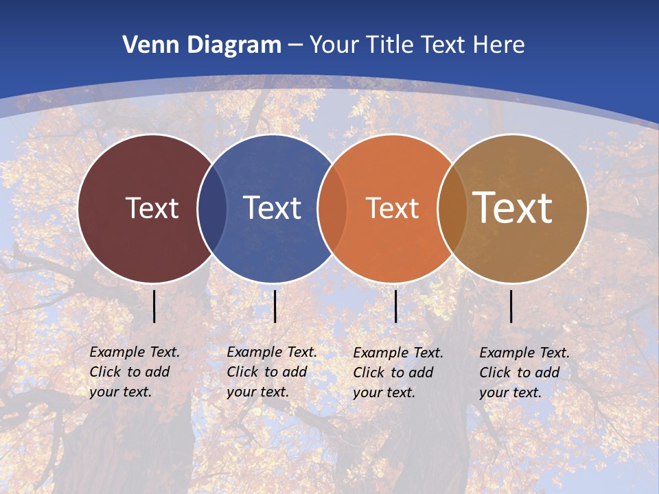 Shiny Studio Old PowerPoint Template