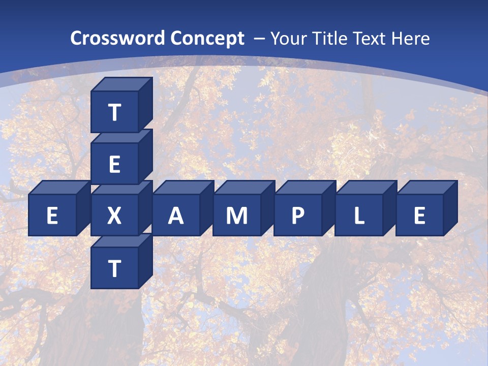 Shiny Studio Old PowerPoint Template