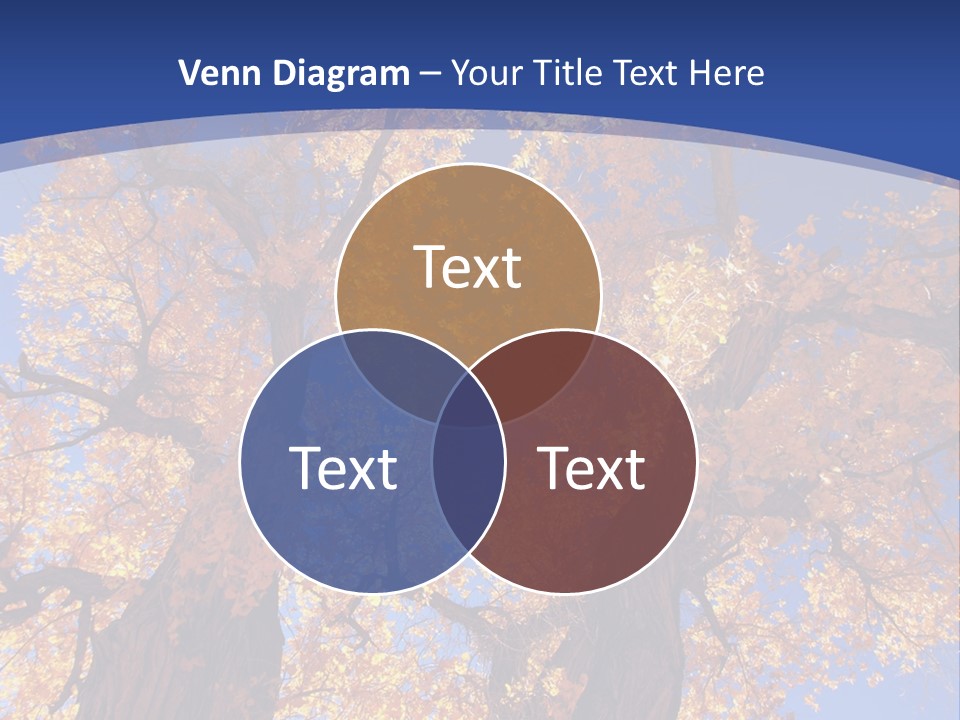 Shiny Studio Old PowerPoint Template