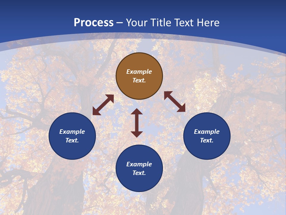 Shiny Studio Old PowerPoint Template