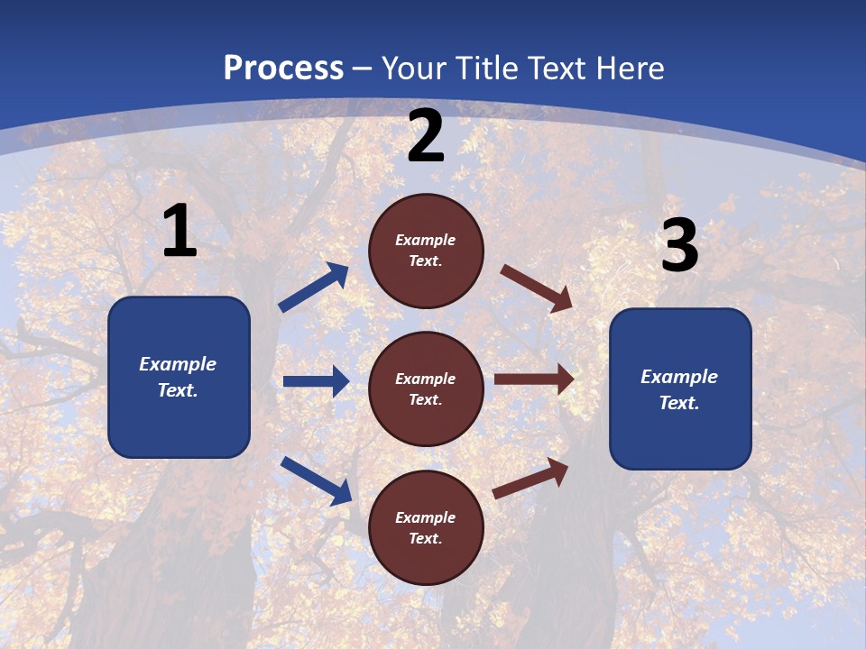 Shiny Studio Old PowerPoint Template