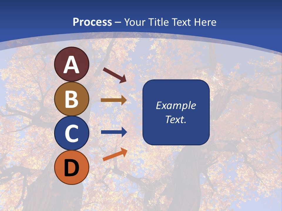 Shiny Studio Old PowerPoint Template