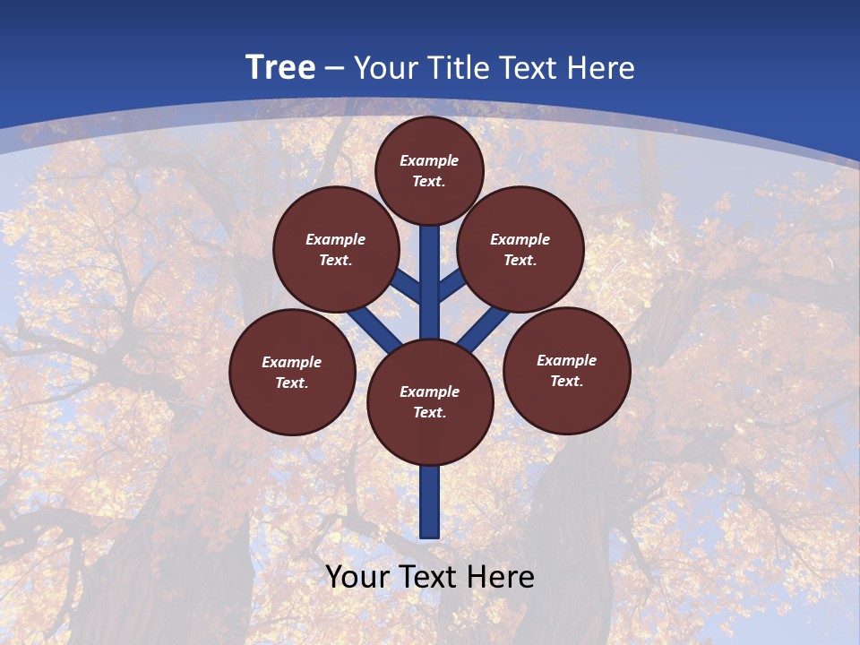 Shiny Studio Old PowerPoint Template