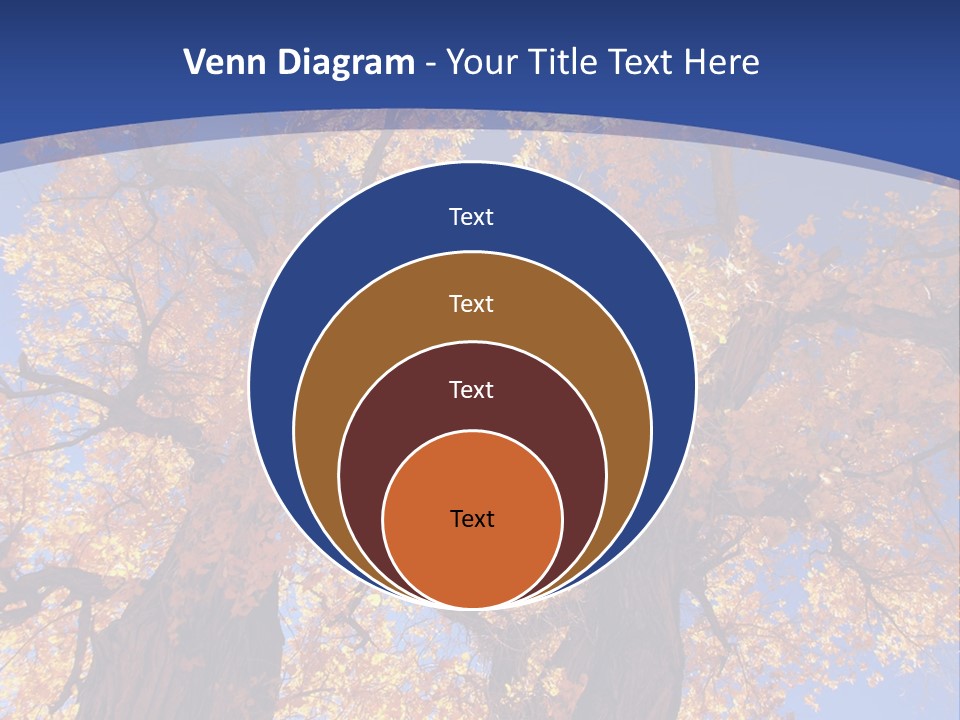 Shiny Studio Old PowerPoint Template