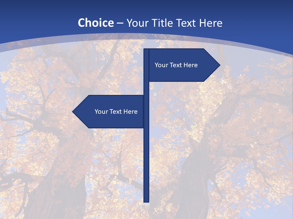 Shiny Studio Old PowerPoint Template