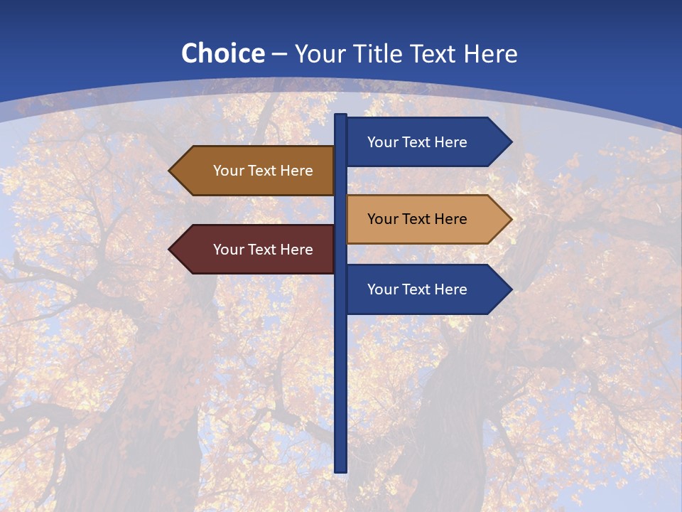 Shiny Studio Old PowerPoint Template