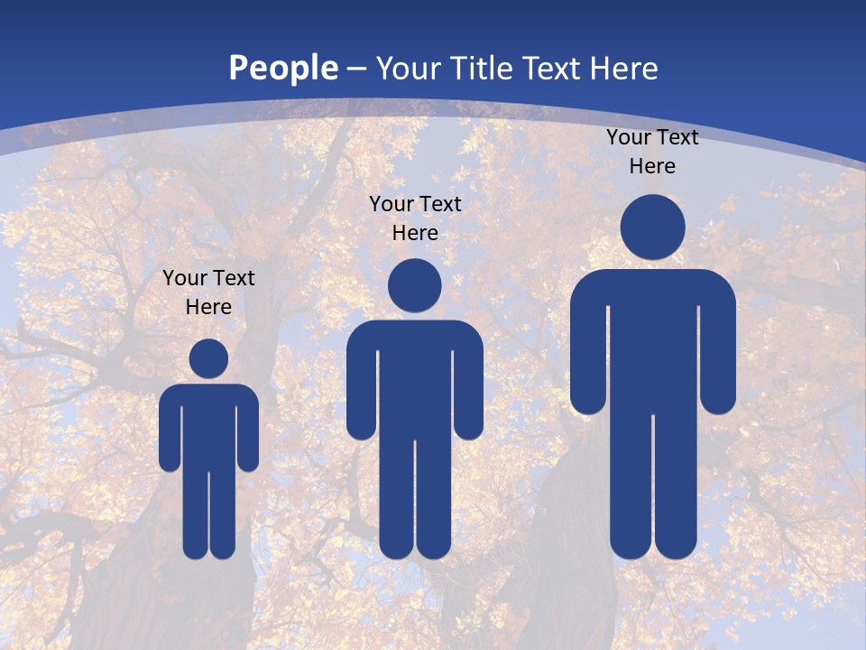 Shiny Studio Old PowerPoint Template