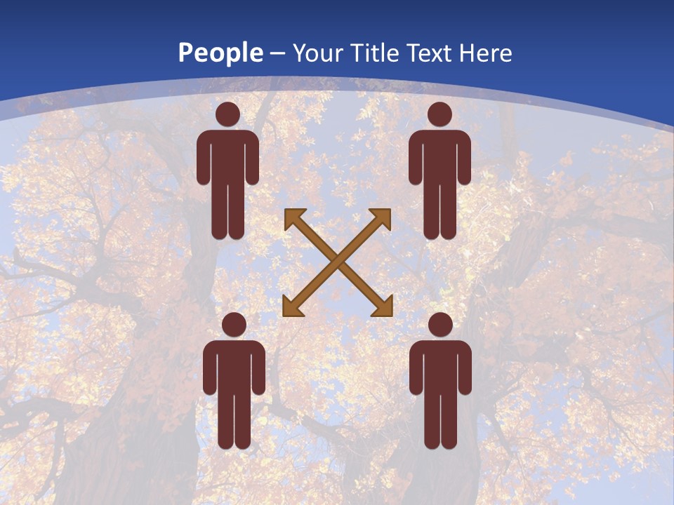 Shiny Studio Old PowerPoint Template