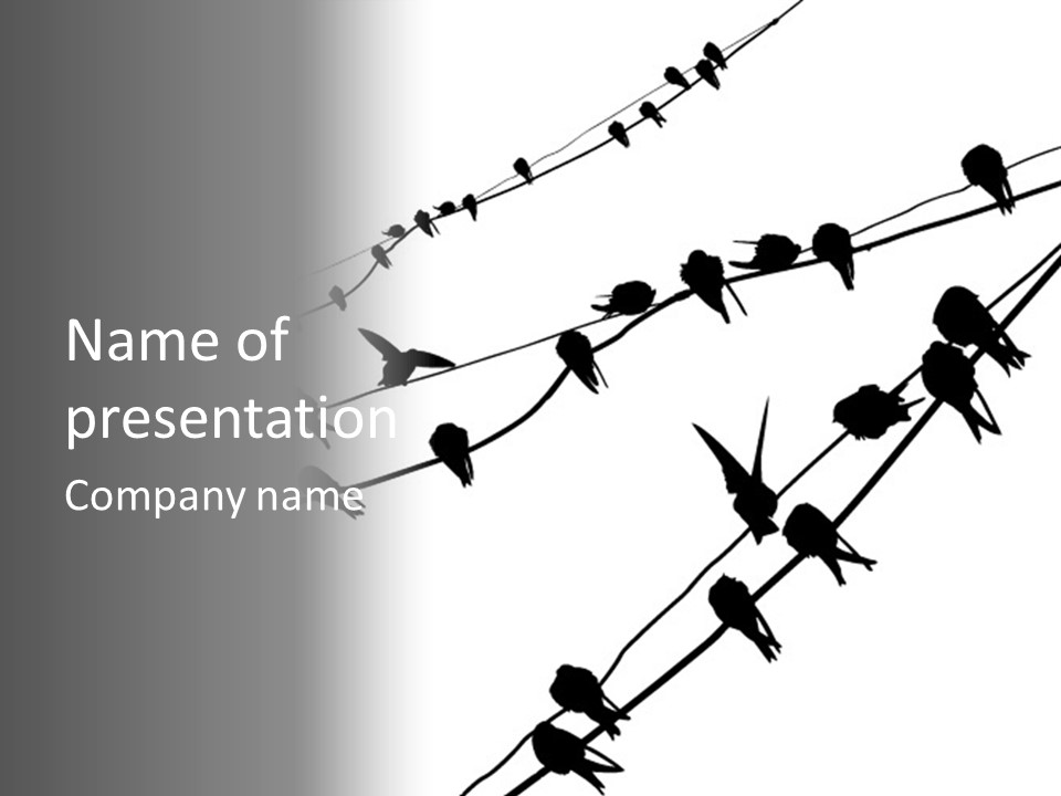 A Group Of Birds Sitting On Top Of Power Lines PowerPoint Template